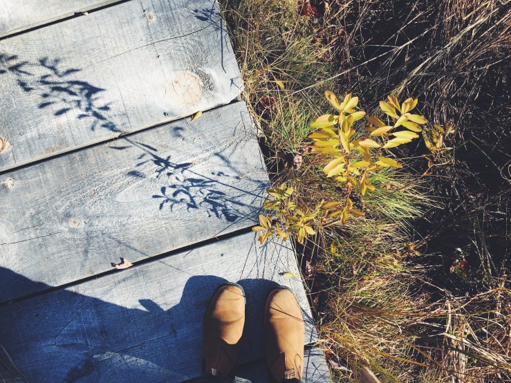 Processed with VSCO with f2 preset