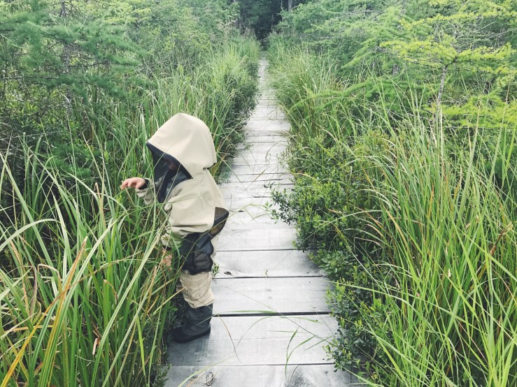 Processed with VSCO with f2 preset