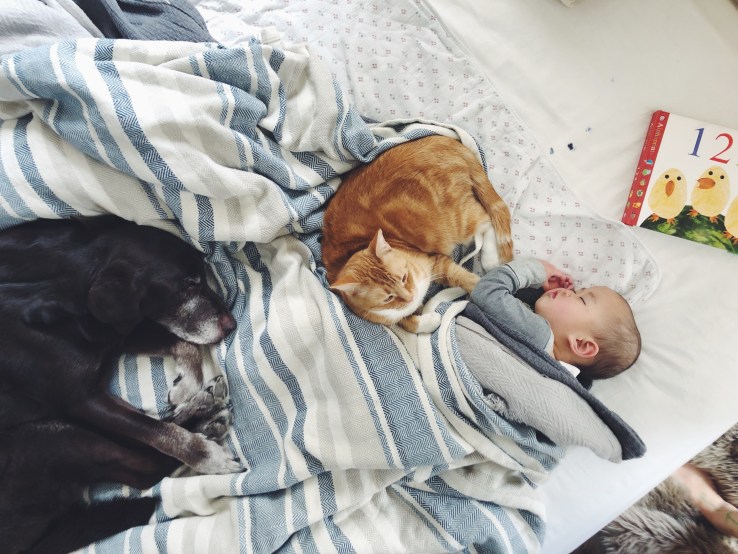 Processed with VSCO with f2 preset